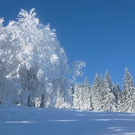 Mit Herz Bischofsmais